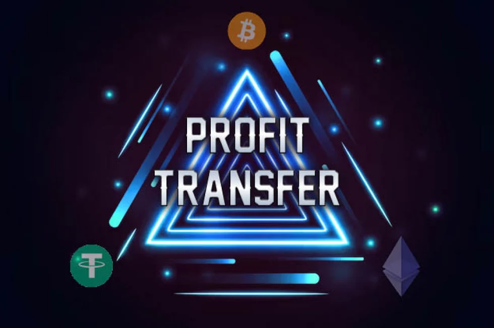 Theory. What is it? Where is the profit? Theory. What is it? Where is the profit?