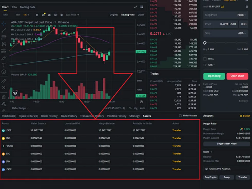 Exchange Portfolio and Positions on the Exchange. Class Portfolio and PositionOnBoard.